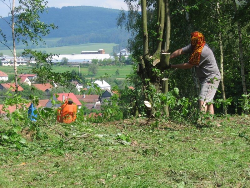 zarostly-drateny-plot-idealni-prostredek-na-otupeni-retazu